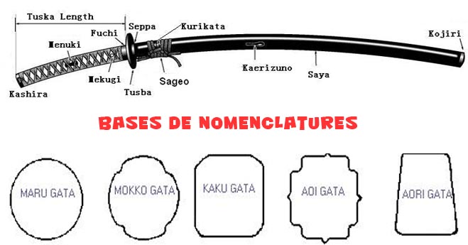 Bases de nomenclature